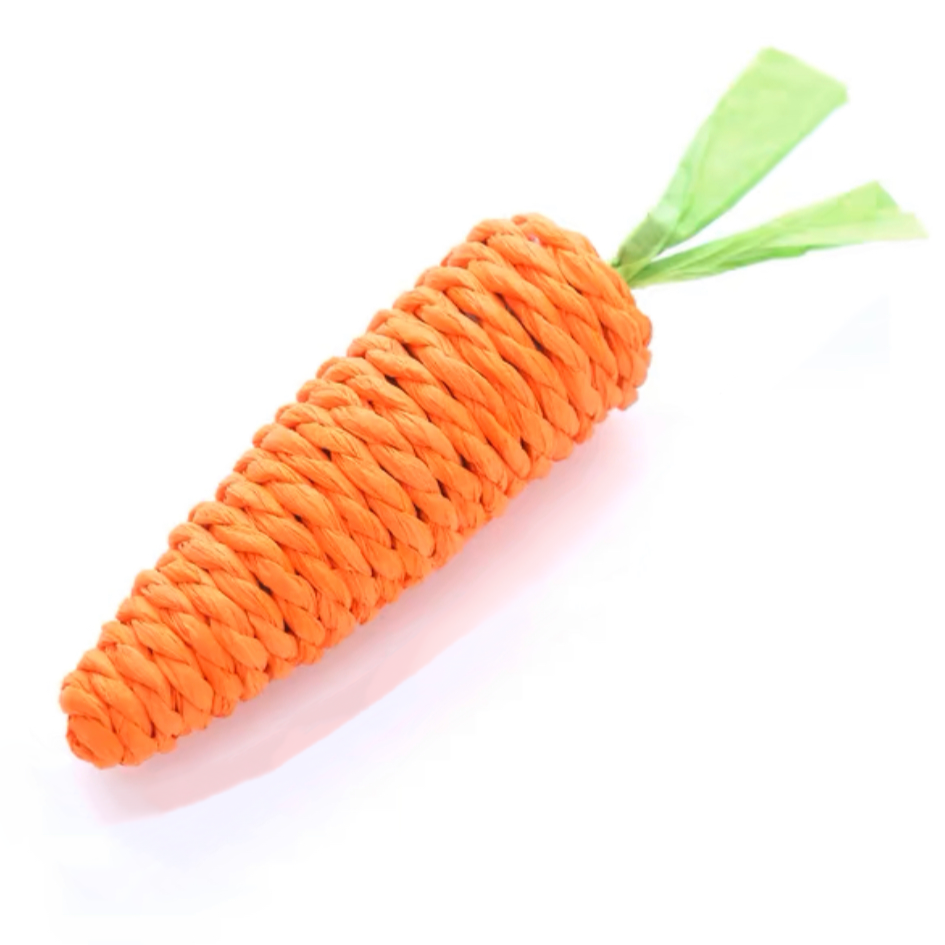 Mr Carrot